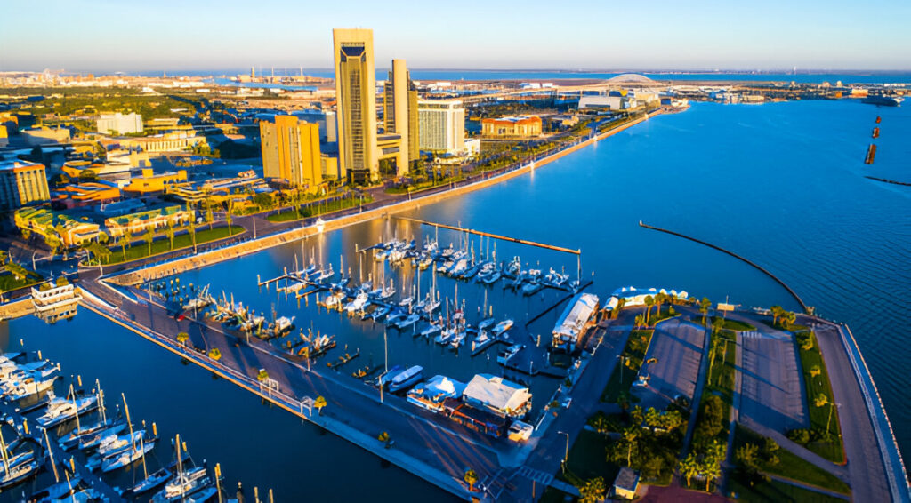 Top-Rated Auto Transport near Corpus Christi, Texas