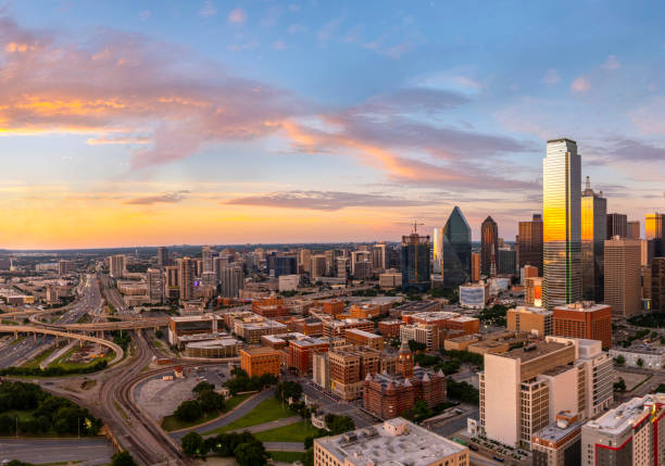 Best Auto Transporter in Dallas, Texas