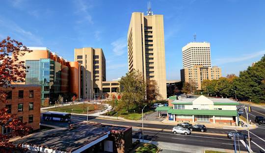 Car Shipping in Rockville, Maryland
