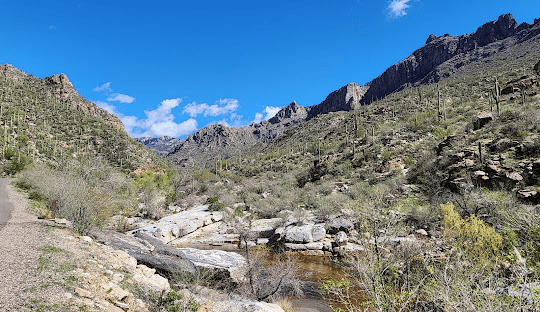 Vehicle Shipping in Tucson, Arizona